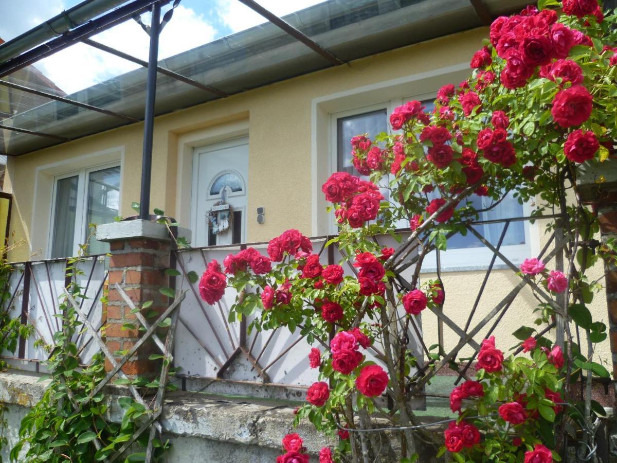 Ferienhaus 1 Elbingerode  Exterior foto